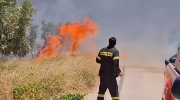 ΚΑΡΥΣΤΟΣ: Πυρκαγιά σε χαμηλή βλάστηση στην περιοχή Αντιάς το μεσημέρι της Παρασκευής