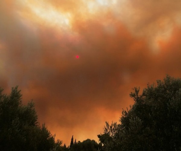 Βίντεο από τη μεγάλη φωτιά στην Εύβοια - Καίγεται πευκοδάσος Natura