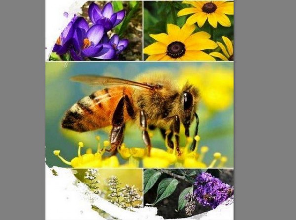 ΑΡΤΑΚΗ: Τριήμερη κατάρτιση μελισσοκόμων στο Κέντρο Δήμητρα