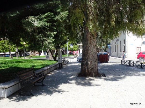 ΧΑΛΚΙΔΑ: Παράπονα των κατοίκων για τις κουτσουλιές στην πλατεία του Αγίου Νικολάου