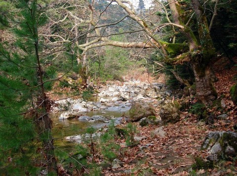Ανοίγει το Μουσείο Απολιθωμένων Θηλαστικών στην Κερασιά