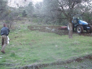 Σπορά από κυνηγούς