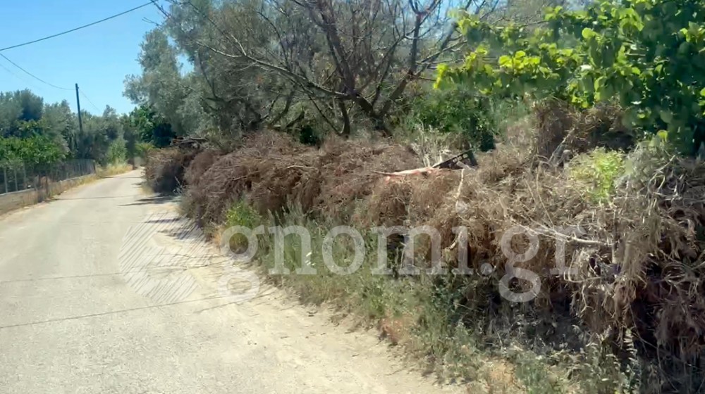 ΧΑΛΚΙΔΑ: Φράκτης ...προσάναμμα προκαλεί τρόμο (VIDEO)