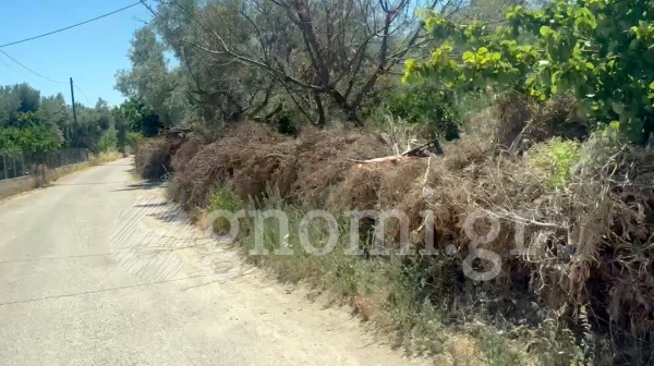 ΧΑΛΚΙΔΑ: Φράκτης ...προσάναμμα προκαλεί τρόμο (VIDEO)