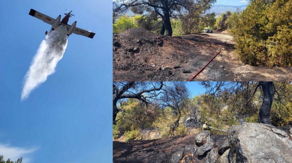 ΒΑΤΩΝΤΑΣ ΑΡΤΑΚΗΣ: Άρπαξε φωτιά το μεσημέρι της Τετάρτης - Κάηκαν 5 στρέμματα δάσους και ένα αυτοκίνητο