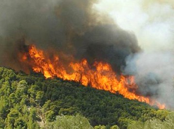 Μάχη με τις φλόγες σε Πήλι και Μαντούδι