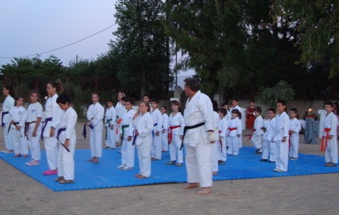 Αρχαία Ελλάδα και καράτε