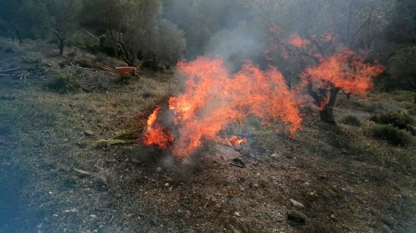 ΔΗΜΟΣ ΧΑΛΚΙΔΕΩΝ: Έβαλε φωτιά σε κλαδέματα και το πλήρωσε ακριβά