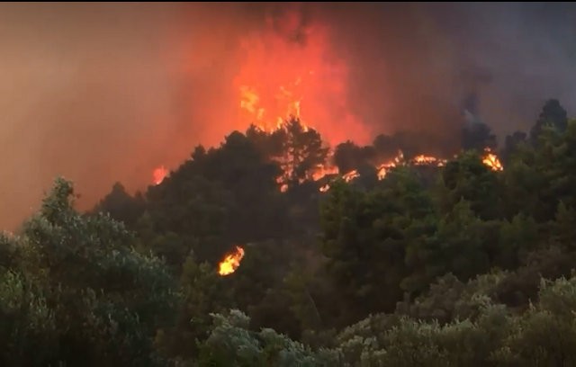ΦΩΤΙΑ- ΕΥΒΟΙΑ: Ανακοίνωση με διευκρινίσεις σχετικά με την δασική έκταση που καίγεται