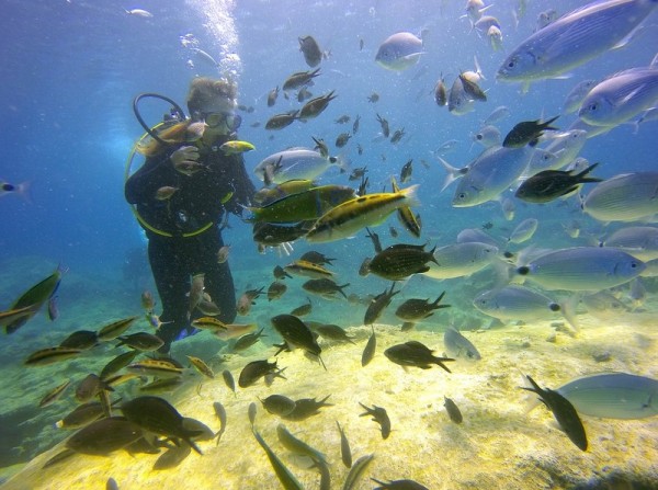 ΔΙΑΓΩΝΙΣΜΟΣ: Δυο τυχεροί θα κερδίσουν ένα μάθημα αυτόνομης κατάδυσης αναψυχής