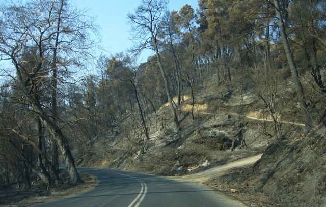 Επισκέφτηκε την καμένη γη της Ριτσώνας