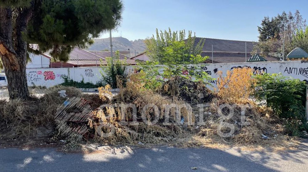 4ο ΛΥΚΕΙΟ ΧΑΛΚΙΔΑΣ: Σκουπιδότοπος με ζιζάνια και ποντίκια