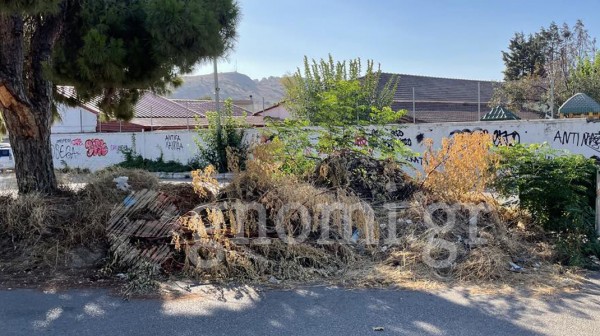 4ο ΛΥΚΕΙΟ ΧΑΛΚΙΔΑΣ: Σκουπιδότοπος με ζιζάνια και ποντίκια