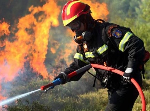 Τρεις πυρκαγιές στη Νότια Εύβοια
