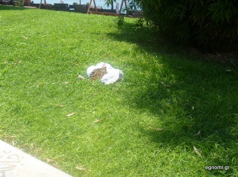 Υπάρχουν και ζωόφιλοι στην πόλη