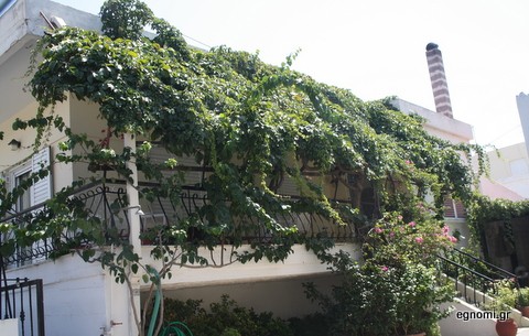 Οικολογική τέντα με πρασινάδα στη Δροσιά