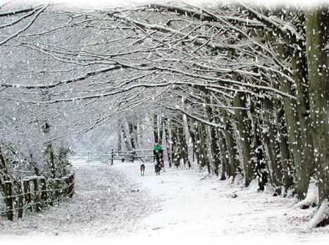 Χιονίζει και στη Χαλκίδα!
