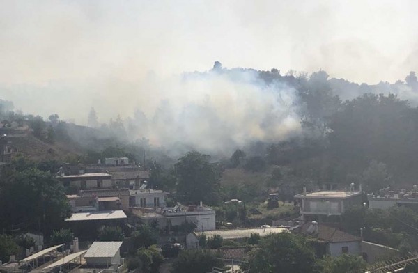 Ξέσπασε φωτιά στη Θήβα (video)
