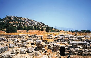 Ο Αχινός καθαρίζει το μονοπάτι για το αρχαίο τείχος της Ερέτριας