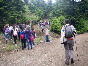 Οι GREEN-ιάρηδες πήραν τα βουνά