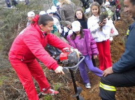 Φύτεψαν 3000 δένδρα