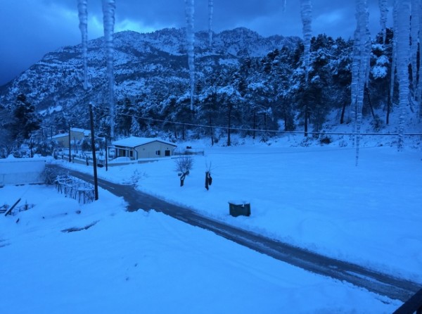 Πέρασε το μισό μέτρο το χιόνι και στο Πήλι Εύβοιας