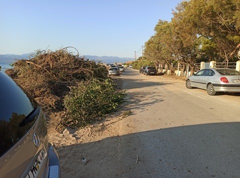 ΑΛΥΚΕΣ ΔΡΟΣΙΑΣ: Ένα ...βουνό κλαδιά μπροστά στην παραλία