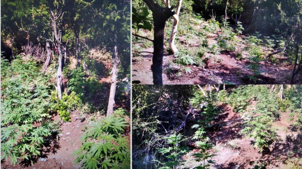 ΕΛΛΑΔΑ: Σύλληψη δύο ιερέων για διακίνηση ναρκωτικών