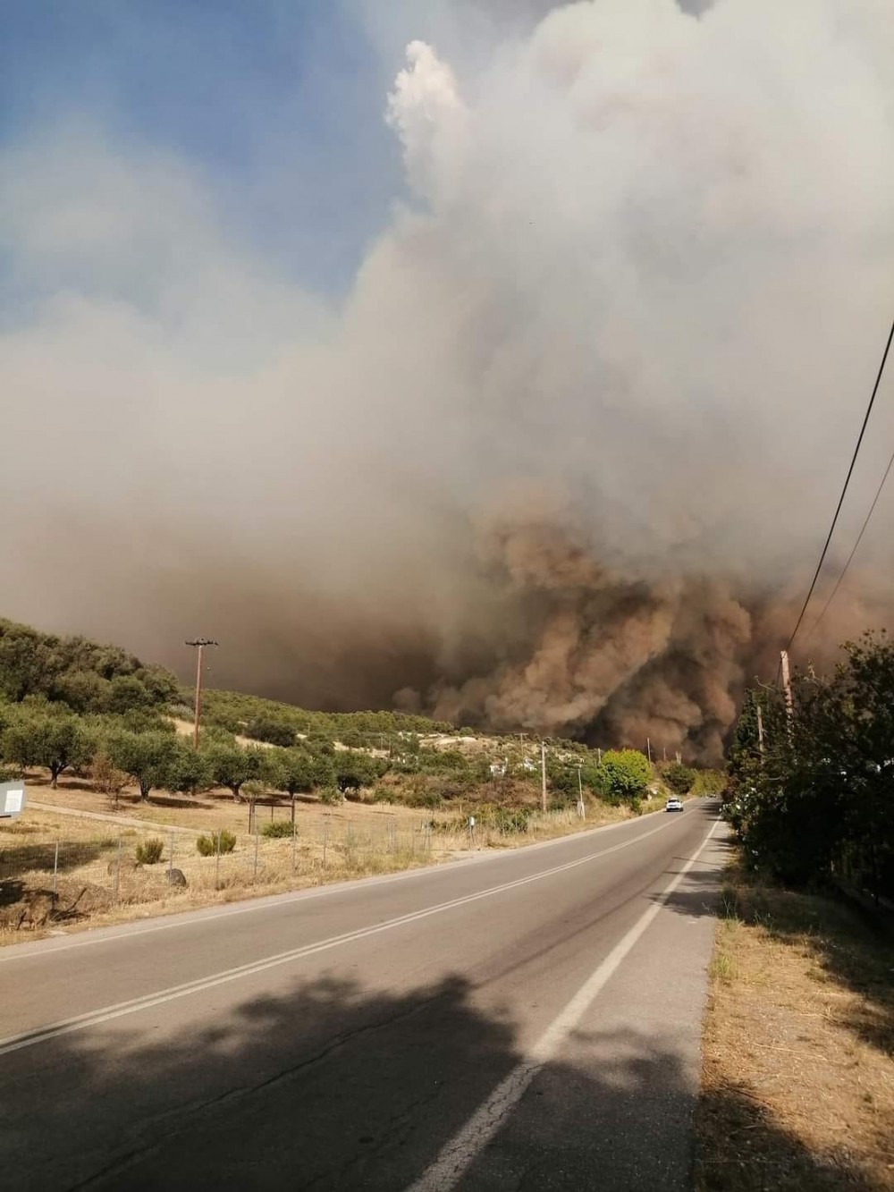 ΦΩΤΙΑ ΔΑΦΝΗ ΕΥΒΟΙΑ: Κάηκαν σπίτια -Εκκενώθηκαν οικισμοί - Πολιορκούνται τα Χρόνια