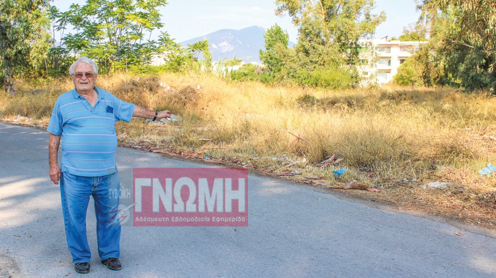 ΛΙΑΝΗ ΑΜΜΟΣ ΧΑΛΚΙΔΑΣ: Ζούγκλα η Σαλαμίνος