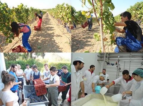 Γεωργική Εκπαίδευση σε απόφοιτους της Α΄Λυκείου