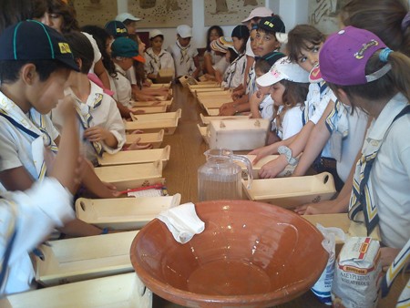 Τα πουλιά σε θαλασσινές περιπέτειες