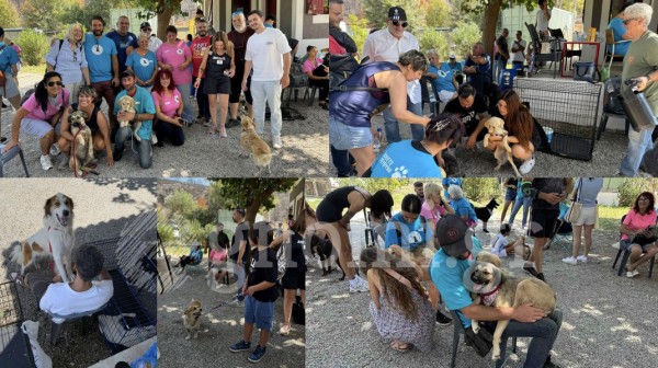 ΧΑΛΚΙΔΑ: Εννιά αδέσποτα ζώα βρήκαν την δική τους οικογένεια