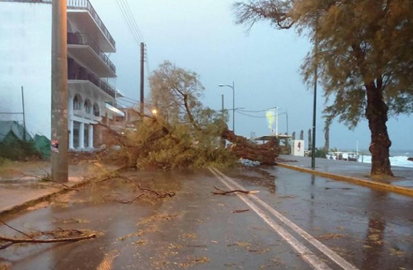 ΔΗΜΟΣ ΧΑΛΚΙΔΕΩΝ -ΚΑΚΟΚΑΙΡΙΑ: Που να πάρετε τηλέφωνο σε περίπτωση ανάγκης