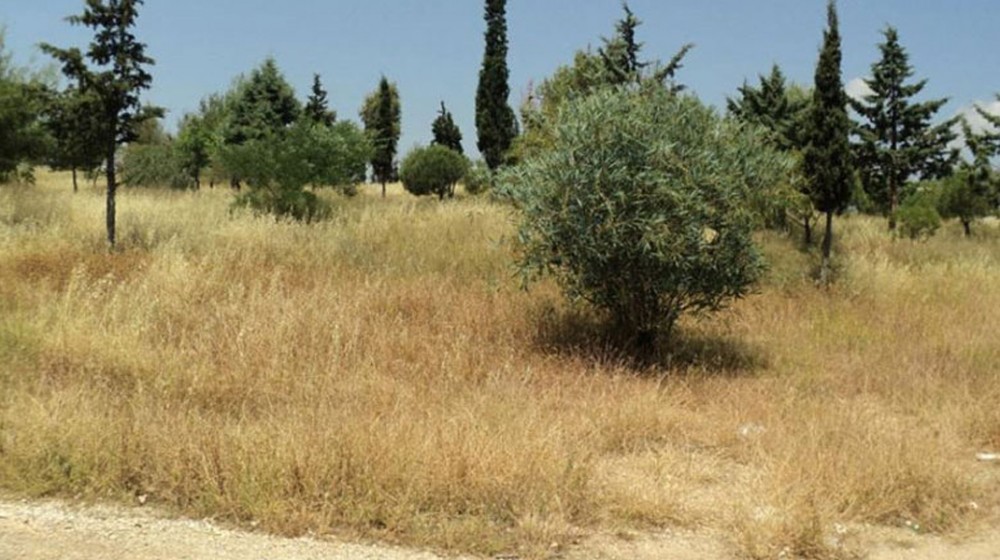 Διπλή παράταση για τα ακίνητα σε δάση και για τα ακαθάριστα οικόπεδα