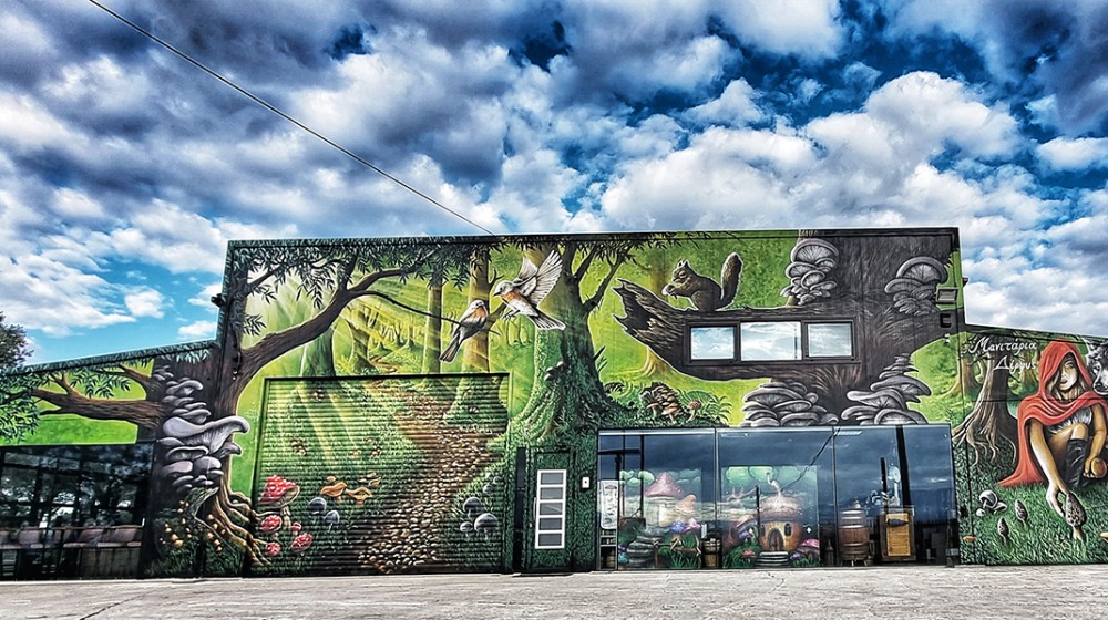 ΜΑΝΙΤΑΡΙΑ ΔΙΡΦΥΣ: Κλείσε ραντεβού και γνώρισε τον κόσμο των μανιταριών!