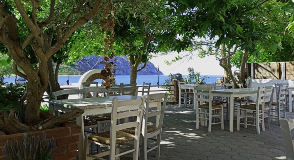 Μονοήμερη στο Πήλι; Απόλαυσε τα πιο φρέσκα πιάτα στον Αρίστο!