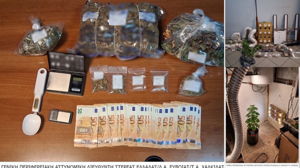 ΧΑΛΚΙΔΑ: Καλλιεργούσε χασίς στην αποθήκη του σπιτιού του με σύστημα υδροπονικής καλλιέργειας