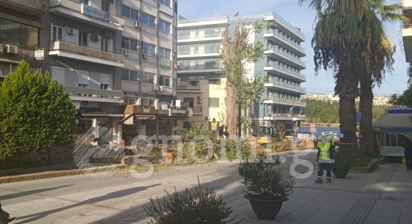 ΧΑΛΚΙΔΑ: Κοπή δέντρων στην Ελευθερίου Βενιζέλου
