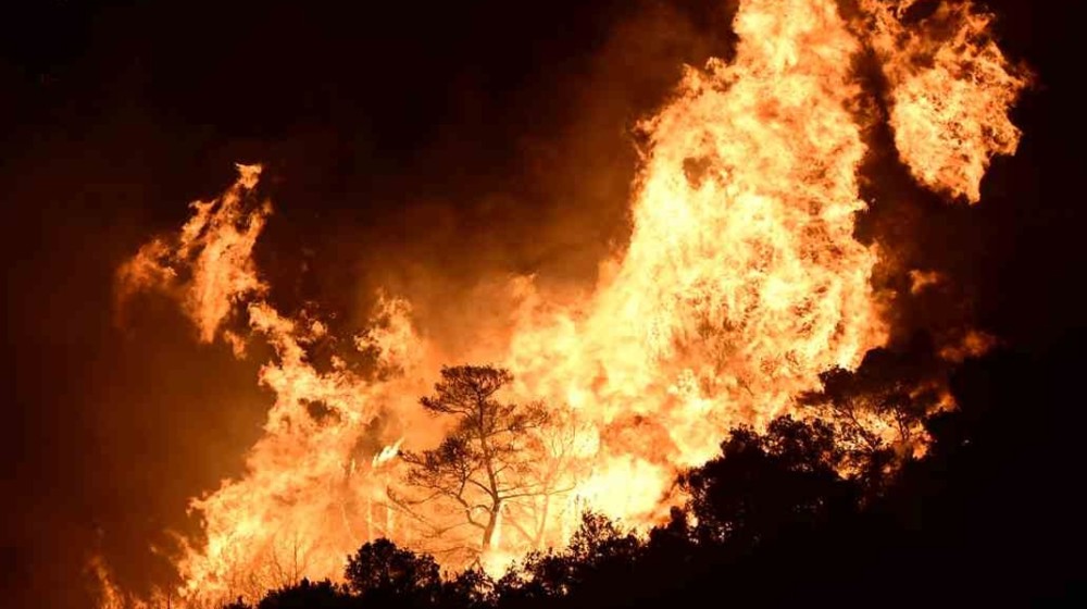 Αχαΐα: 19χρονος ομολόγησε ότι έβαλε τη φωτιά στα Συχαινά Πάτρας