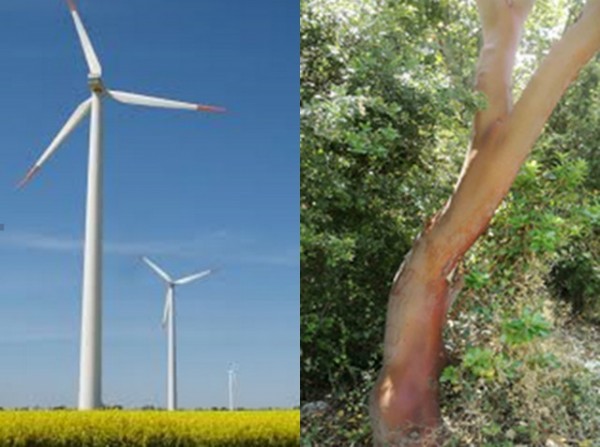 ΜΑΚΙΣΤΟΣ: Πρέπει να βρεθεί ισορροπία μεταξύ της ανάπτυξης και της προστασίας της φύσης