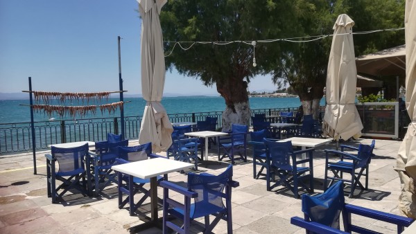 ΙΑΜΑΤΙΚΟΝ ΑΜΑΡΥΝΘΟΣ: Για άπαιχτο χταποδομεζέ μόνο έδω!