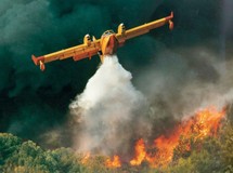 Κάηκαν ήδη 150 στρέμματα στο Δομοκό