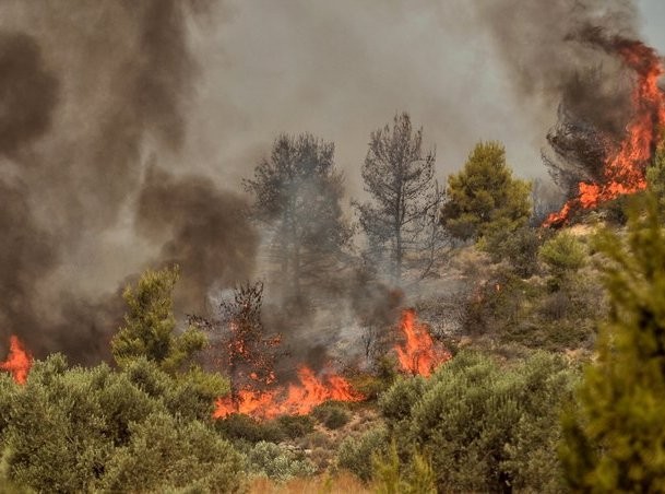 ΤΡΑΧΗΛΙ: Άρπαξε φωτιά σε δασική έκταση