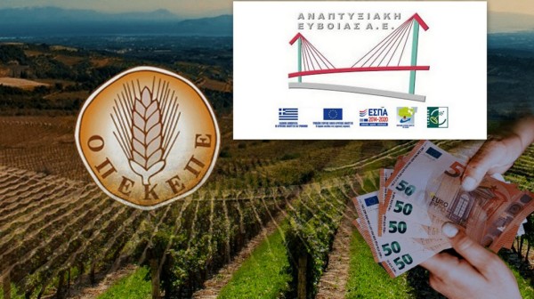 ΣΥΡΙΖΑ ΕΥΒΟΙΑΣ: Να επιληφθεί η Δικαιοσύνη για όσα συμβαίνουν στην Αναπτυξιακή Εύβοιας