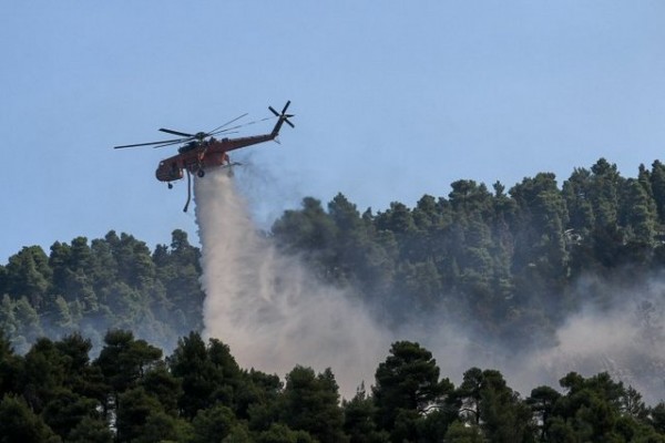 ΤΑΝΑΓΡΑ: Άρπαξε φωτιά σε αγροτοδασική έκταση