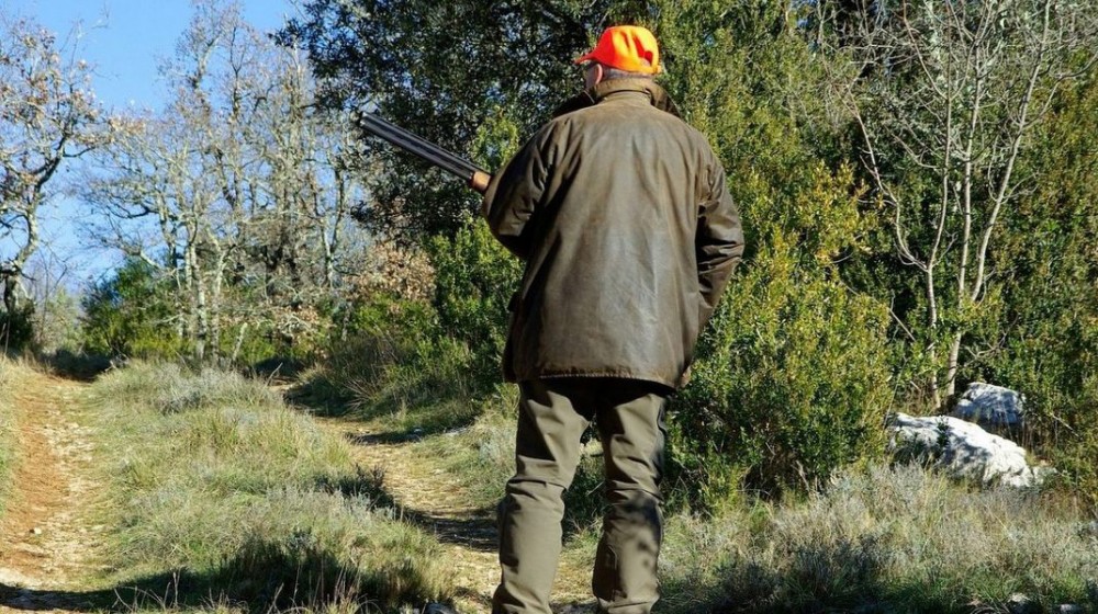 ΜΑΚΡΥΚΑΠΑ: Τρεις Έλληνες σκότωσαν μοσχάρι με κυνηγετικό όπλο και πάνε κατηγορούμενοι για κακούργημα