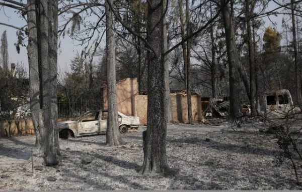 Αυτές είναι οι προτάσεις των φοροτεχνικών της Εύβοιας για τους πυρόπληκτους