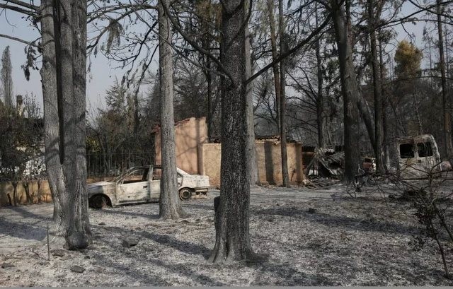 Αυτές είναι οι προτάσεις των φοροτεχνικών της Εύβοιας για τους πυρόπληκτους