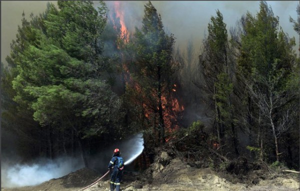 ΕΥΒΟΙΑ: Νέα φωτιά στην περιοχή του Πισσώνα